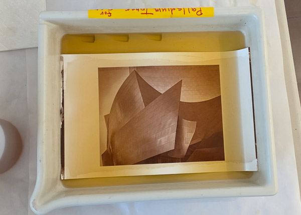 Platinum-Paladium prints